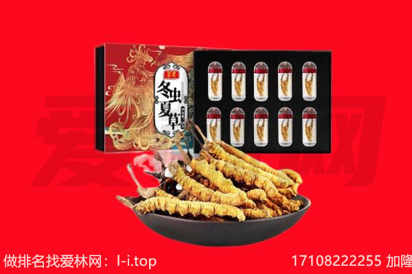 青云谱区回收虫草.jpg